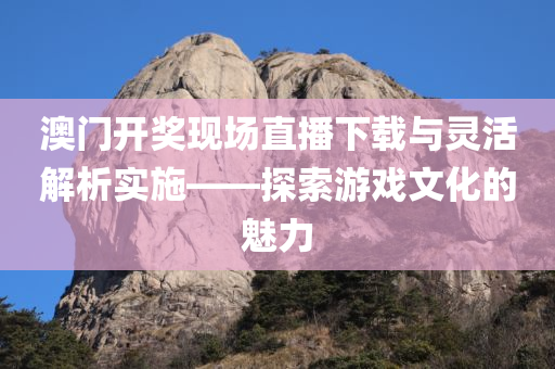 澳门开奖现场直播下载与灵活解析实施——探索游戏文化的魅力