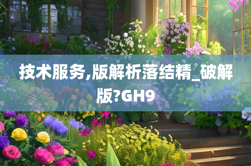 技术服务,版解析落结精_破解版?GH9