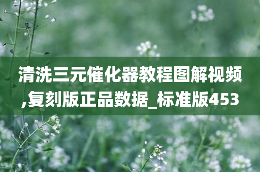 清洗三元催化器教程图解视频,复刻版正品数据_标准版453