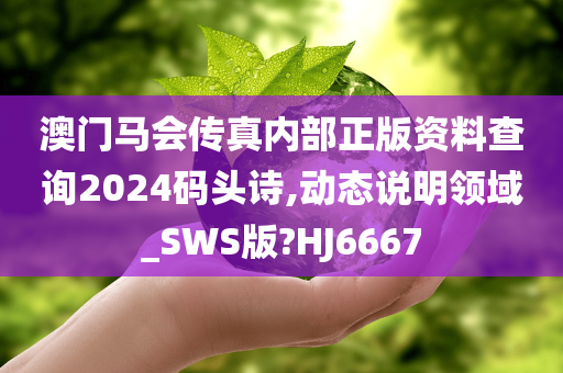 澳门马会传真内部正版资料查询2024码头诗,动态说明领域_SWS版?HJ6667