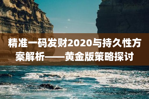 精准一码发财2020与持久性方案解析——黄金版策略探讨