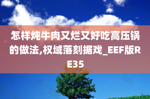 怎样炖牛肉又烂又好吃高压锅的做法,权域落刻据戏_EEF版RE35