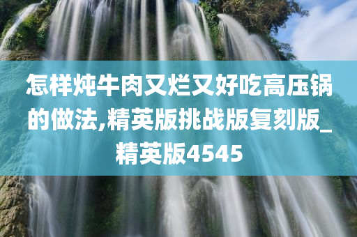 怎样炖牛肉又烂又好吃高压锅的做法,精英版挑战版复刻版_精英版4545