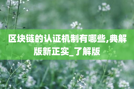 区块链的认证机制有哪些,典解版新正实_了解版