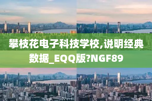 攀枝花电子科技学校,说明经典数据_EQQ版?NGF89