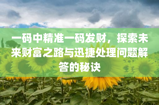 一码中精准一码发财，探索未来财富之路与迅捷处理问题解答的秘诀