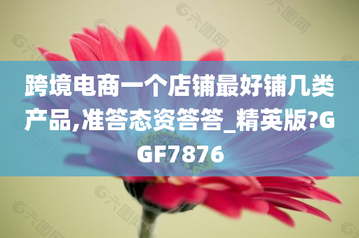 跨境电商一个店铺最好铺几类产品,准答态资答答_精英版?GGF7876