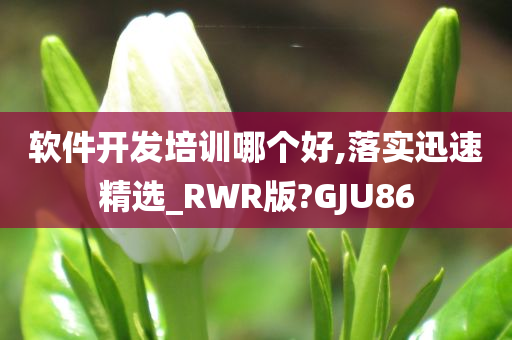 软件开发培训哪个好,落实迅速精选_RWR版?GJU86