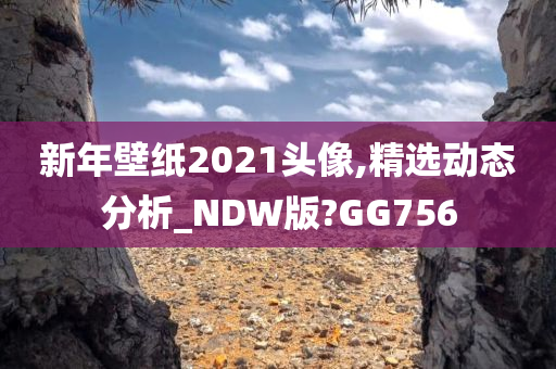 新年壁纸2021头像,精选动态分析_NDW版?GG756