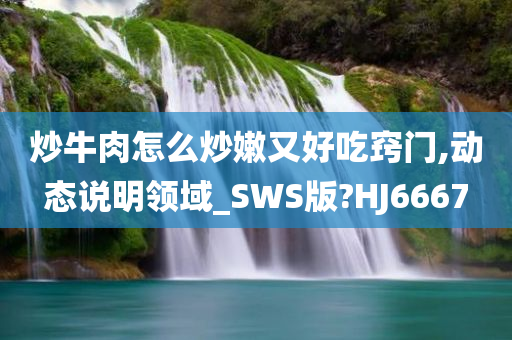 炒牛肉怎么炒嫩又好吃窍门,动态说明领域_SWS版?HJ6667