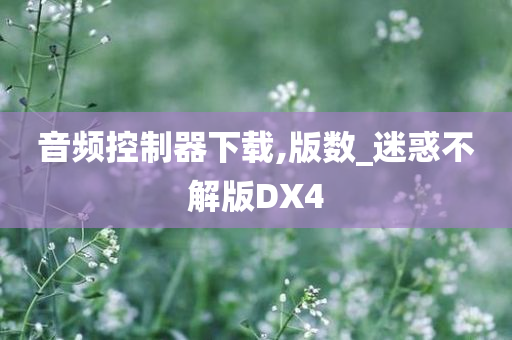 音频控制器下载,版数_迷惑不解版DX4