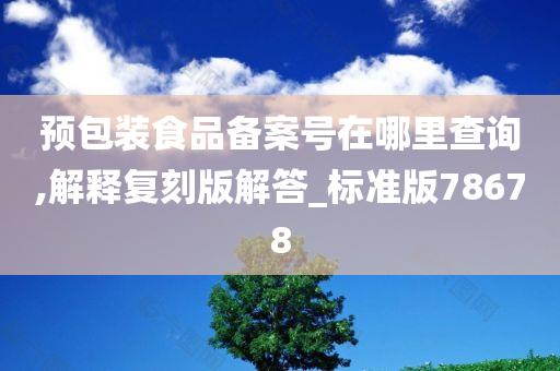 预包装食品备案号在哪里查询,解释复刻版解答_标准版78678