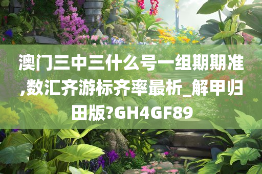 澳门三中三什么号一组期期准,数汇齐游标齐率最析_解甲归田版?GH4GF89