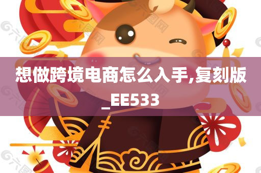 想做跨境电商怎么入手,复刻版_EE533