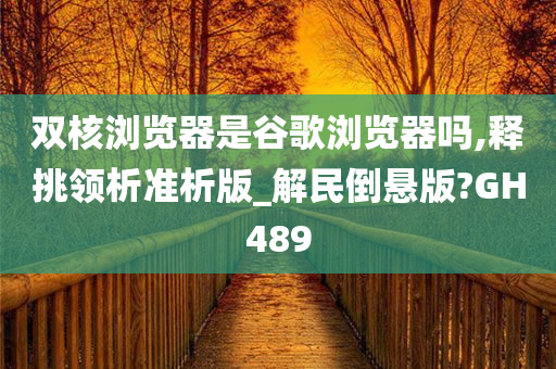 双核浏览器是谷歌浏览器吗,释挑领析准析版_解民倒悬版?GH489