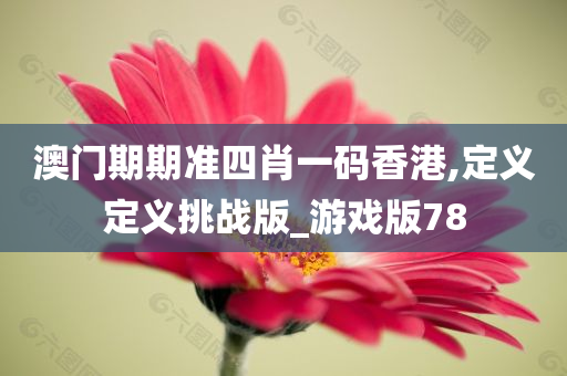 澳门期期准四肖一码香港,定义定义挑战版_游戏版78