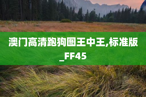 澳门高清跑狗图王中王,标准版_FF45