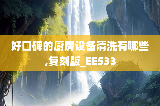 好口碑的厨房设备清洗有哪些,复刻版_EE533