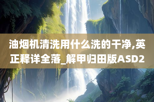 油烟机清洗用什么洗的干净,英正释详全落_解甲归田版ASD2