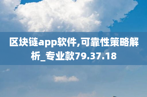 区块链app软件,可靠性策略解析_专业款79.37.18