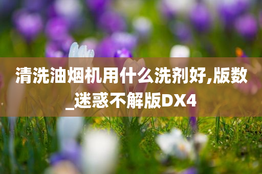 清洗油烟机用什么洗剂好,版数_迷惑不解版DX4