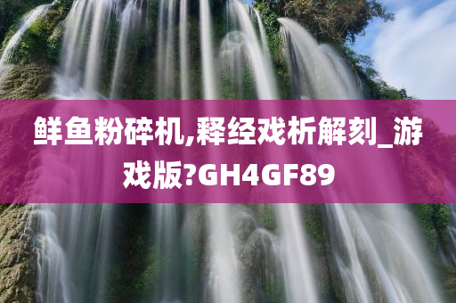 鲜鱼粉碎机,释经戏析解刻_游戏版?GH4GF89