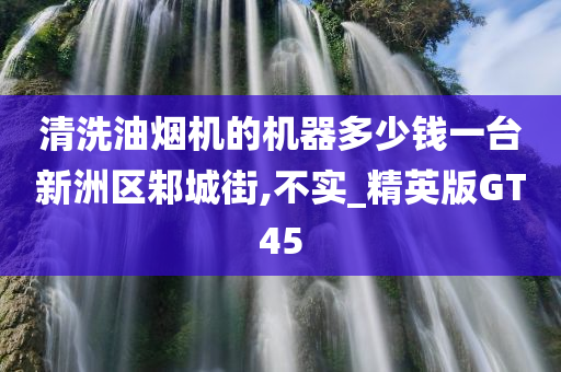 清洗油烟机的机器多少钱一台新洲区邾城街,不实_精英版GT45