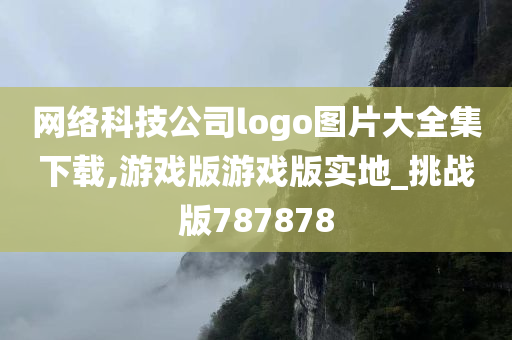 网络科技公司logo图片大全集下载,游戏版游戏版实地_挑战版787878