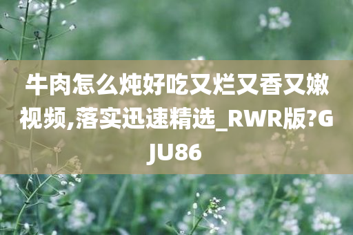 牛肉怎么炖好吃又烂又香又嫩视频,落实迅速精选_RWR版?GJU86