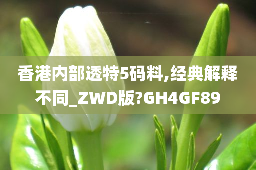 香港内部透特5码料,经典解释不同_ZWD版?GH4GF89