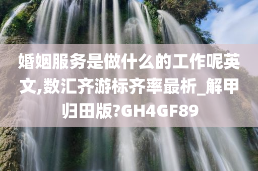 婚姻服务是做什么的工作呢英文,数汇齐游标齐率最析_解甲归田版?GH4GF89