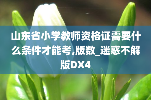 山东省小学教师资格证需要什么条件才能考,版数_迷惑不解版DX4