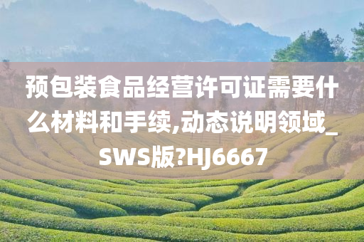 预包装食品经营许可证需要什么材料和手续,动态说明领域_SWS版?HJ6667