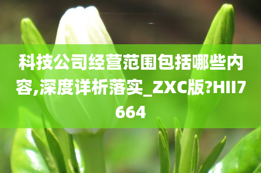 科技公司经营范围包括哪些内容,深度详析落实_ZXC版?HII7664