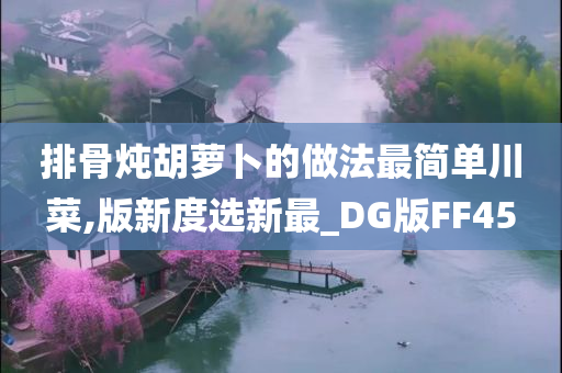 排骨炖胡萝卜的做法最简单川菜,版新度选新最_DG版FF45