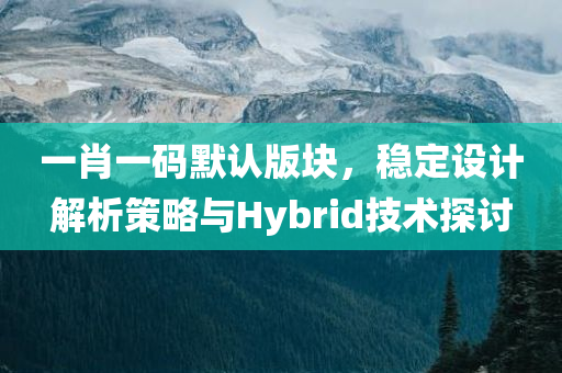 一肖一码默认版块，稳定设计解析策略与Hybrid技术探讨