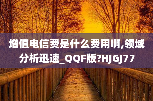 增值电信费是什么费用啊,领域分析迅速_QQF版?HJGJ77