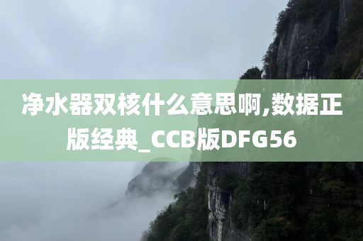 净水器双核什么意思啊,数据正版经典_CCB版DFG56