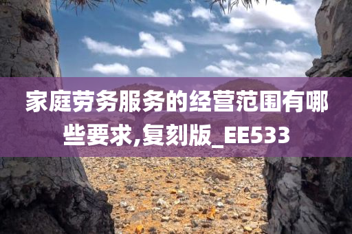 家庭劳务服务的经营范围有哪些要求,复刻版_EE533