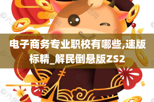 电子商务专业职校有哪些,速版标精_解民倒悬版ZS2