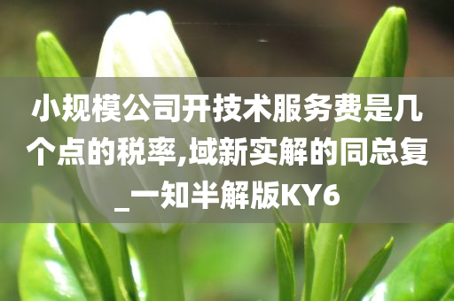 小规模公司开技术服务费是几个点的税率,域新实解的同总复_一知半解版KY6