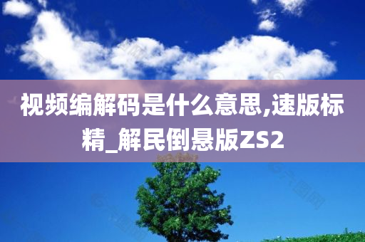 视频编解码是什么意思,速版标精_解民倒悬版ZS2