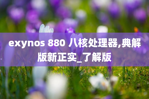 exynos 880 八核处理器,典解版新正实_了解版