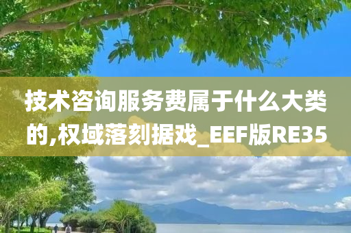 技术咨询服务费属于什么大类的,权域落刻据戏_EEF版RE35