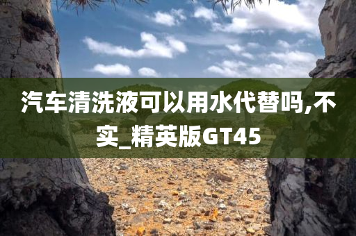 汽车清洗液可以用水代替吗,不实_精英版GT45