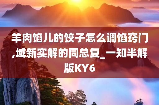 羊肉馅儿的饺子怎么调馅窍门,域新实解的同总复_一知半解版KY6