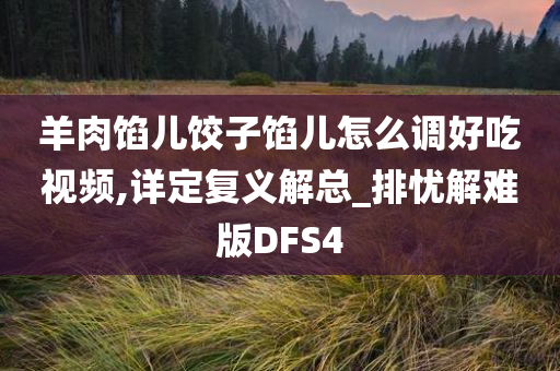 羊肉馅儿饺子馅儿怎么调好吃视频,详定复义解总_排忧解难版DFS4