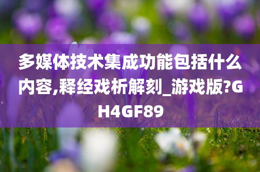 多媒体技术集成功能包括什么内容,释经戏析解刻_游戏版?GH4GF89