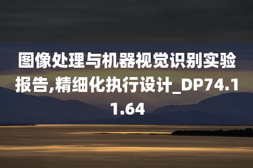 图像处理与机器视觉识别实验报告,精细化执行设计_DP74.11.64