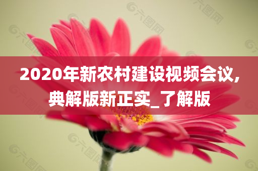 2020年新农村建设视频会议,典解版新正实_了解版